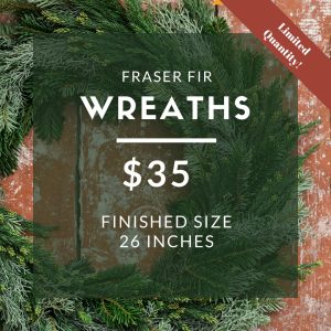 Fraser Fir Wreath