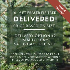 Saturday December 6th Tree Delivery