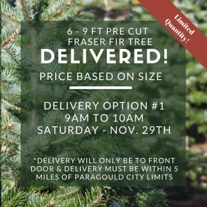 Saturday November 29th Tree Delivery